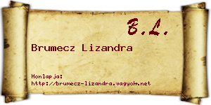 Brumecz Lizandra névjegykártya